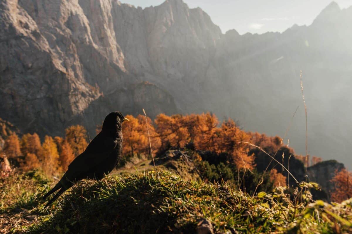 Der Fluss Soča und das Soča-Tal: Ein perfekter Aufenthalt Unterkunft in der Erjavčeva koča Berghütte