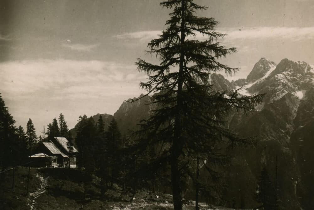 Ein Blick vom Bach auf die Erjavčeva koča